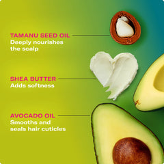 Avocado & Tamanu Anti-Frizz Conditioner